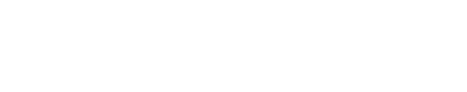 Logo Bioracer