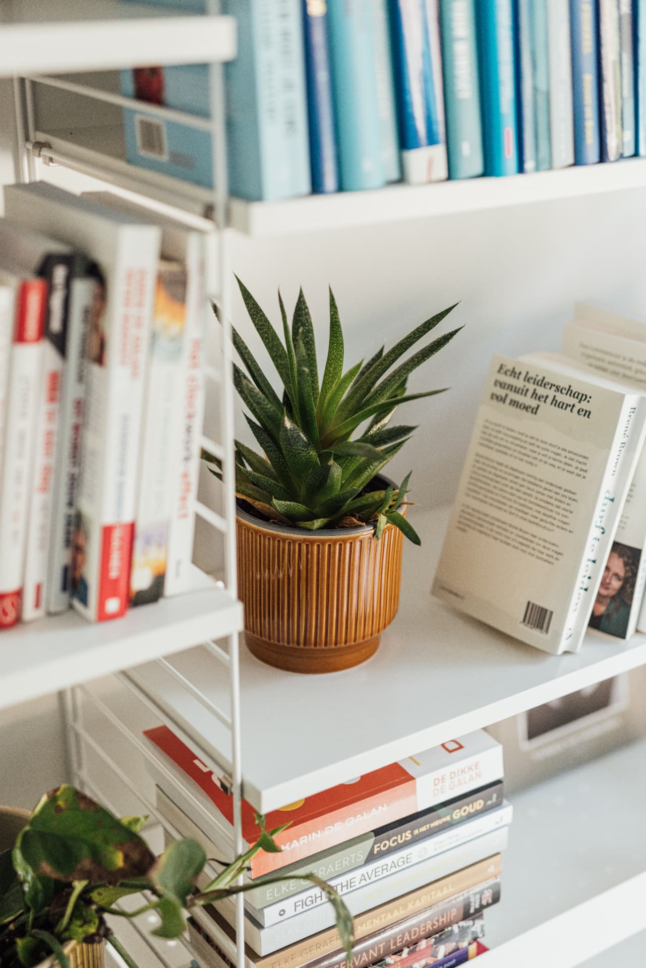 Boekenkast met vakliteratuur over leiderschap en coaching